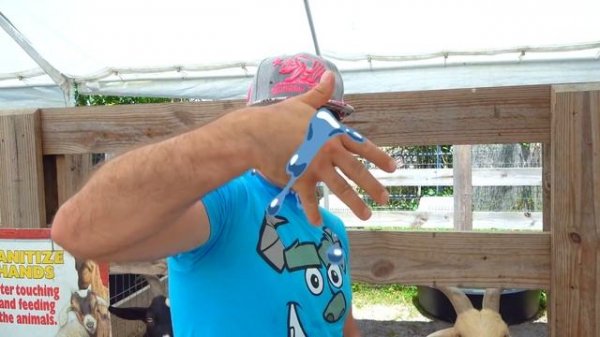 Настя и папа играют на ферме