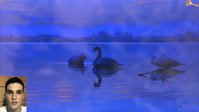 Простыми словами объяснил то, что для многих великая тайна [Вселенная / Сознание / Просветление] смотреть онлайн