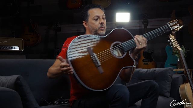 Godin Arena Series