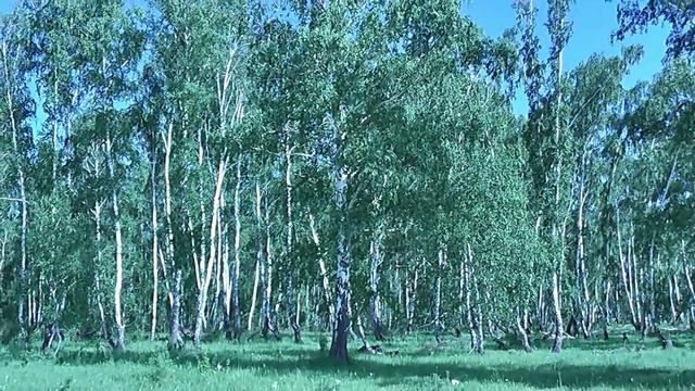 Село смотреть онлайн
