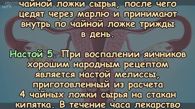 ОТВАРЫ И НАСТОИ ПОМОГАЮТ ПРИ ВОСПАЛЕНИИ ЯИЧНИКОВ смотреть онлайн