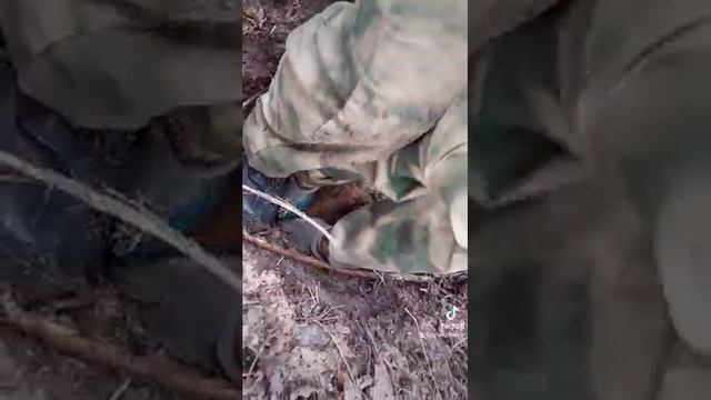 Коп в лесу смотреть онлайн