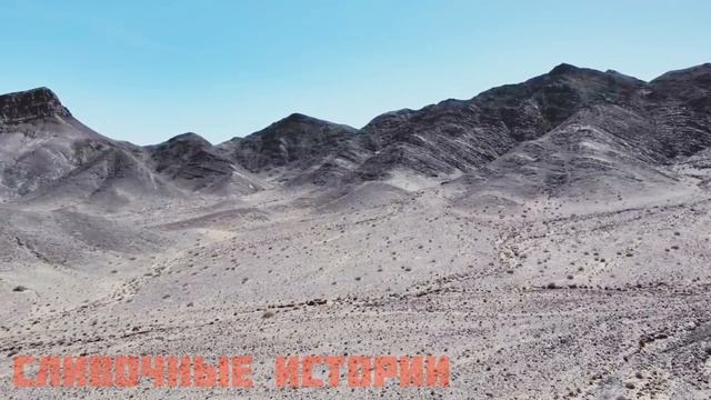 Жена ушла к молодому любовнику забрав все деньги, а когда вернулась назад, её ждал сюрприз... смотреть онлайн