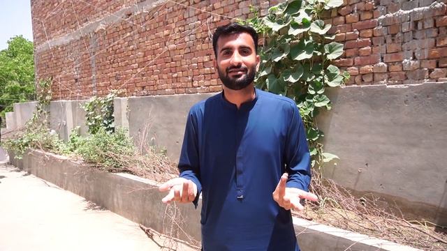 BULLY DOG Gift Mil Gea😱 смотреть онлайн