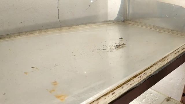 Переделал свет и начал пересаживать мальков в большой аквариум смотреть онлайн