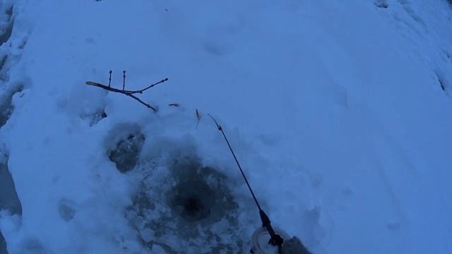 ЛОВЛЯ СЕЛЁДКИ(ПЛОТВЫ) РЫБАЛКА НА ЧЁРТА! смотреть онлайн