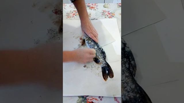 Чистим щуку, быстро и чисто, за минуту. Рыбочистка Стрипфиш смотреть онлайн