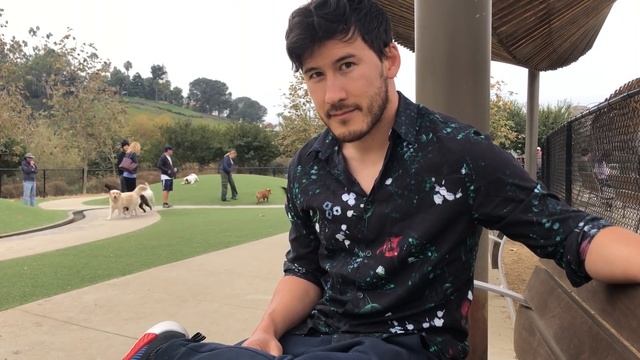 Fall in Love with Markiplier смотреть онлайн