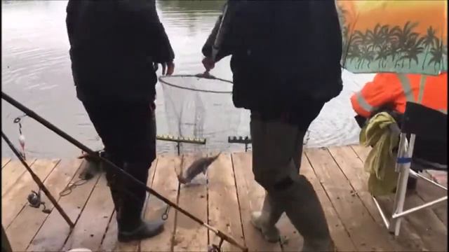 Осетр клюет выходами! Клевое место, д. Савельево смотреть онлайн