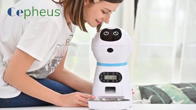 автокормушка для кошек и собак с записью голосового сообщения смотреть онлайн