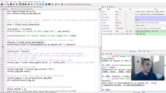 266 - Openslide library for whole slide images смотреть онлайн