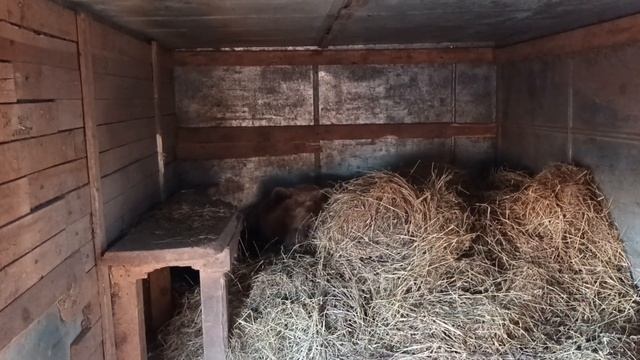 18.11.23. воробушек в гнездышке смотреть онлайн