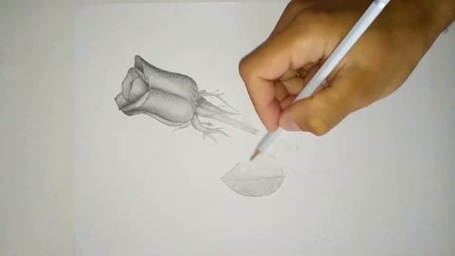 Rose. Pencil Drawing. | Роза. Рисунок карандашом. смотреть онлайн