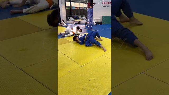 Тренировка по дзюдо в партере Ne-Waza на скорость быстроты реакции, ORTUS.KZ. Тренер Пак Сергей смотреть онлайн