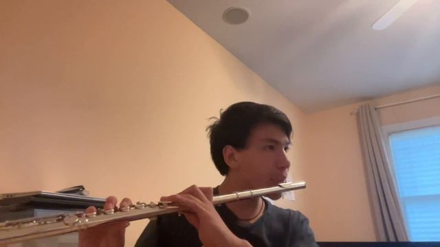 Baby Stop - Altajmusic | Beatbox Flute Cover смотреть онлайн