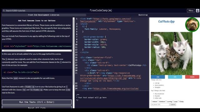 freeCodeCamp Front End Development Libraries Bootstrap смотреть онлайн
