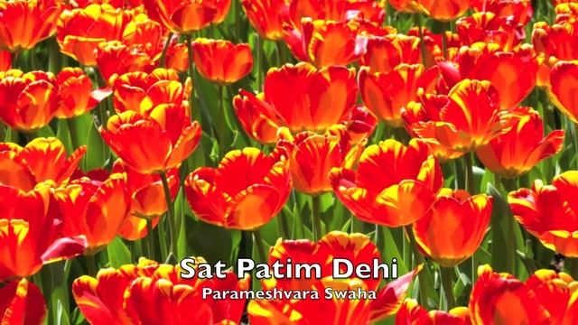 Mantra for a Woman to Attract a Soulmate смотреть онлайн