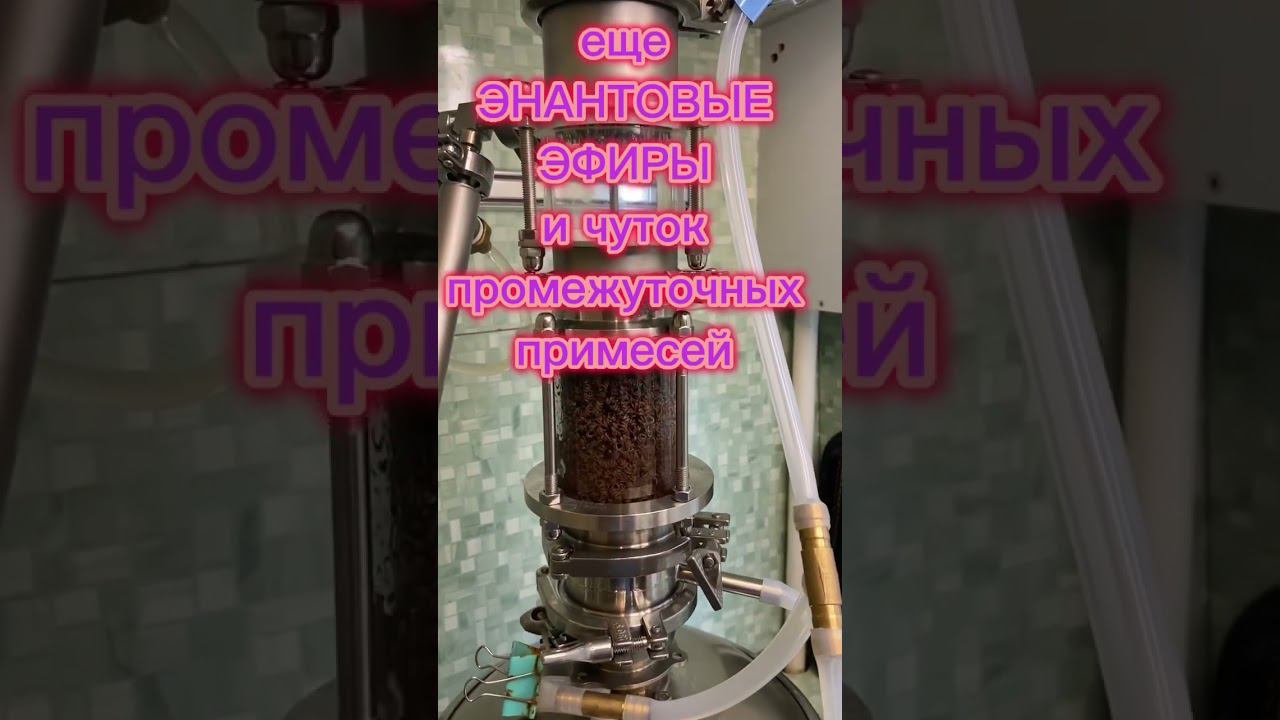 АРОМАТНЫЙ ДИСТИЛЛЯТ В РЕЖИМЕ ЭМУЛЬГАЦИИ! МЕТОД "ЭКСС" ПЕРВЫЙ ОПЫТ! *ПОЛНОЕ ВИДЕО В КОММЕНТАРИИ! смотреть онлайн