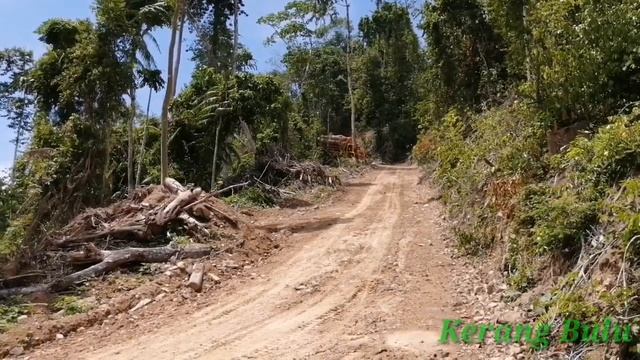 Extreme Logging Road | 6×6 Nissan V8 Timber Truck смотреть онлайн