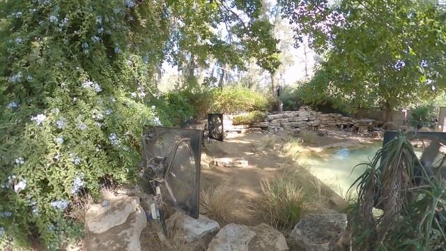 Safari Ramat Gan (Israel) (part 10). Сафари-парк в Рамат-Гане (Израиль) (часть 10) смотреть онлайн