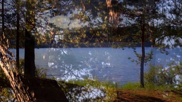 Иван Бунин стихотворение "Детство" смотреть онлайн