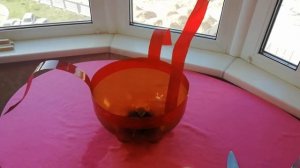 ЗАЧЕМ ЖЕНЕ ПИВНАЯ КЕГА  ЧТО СДЕЛАТЬ ИЗ ПИВНОЙ КЕГИ  ВАЗОН СВОИМИ РУКАМИ  50 ИДЕЙ ТВОРЧЕСТВА