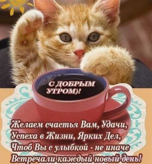Доброе Утро! Утро Началось! Позитив с утра!