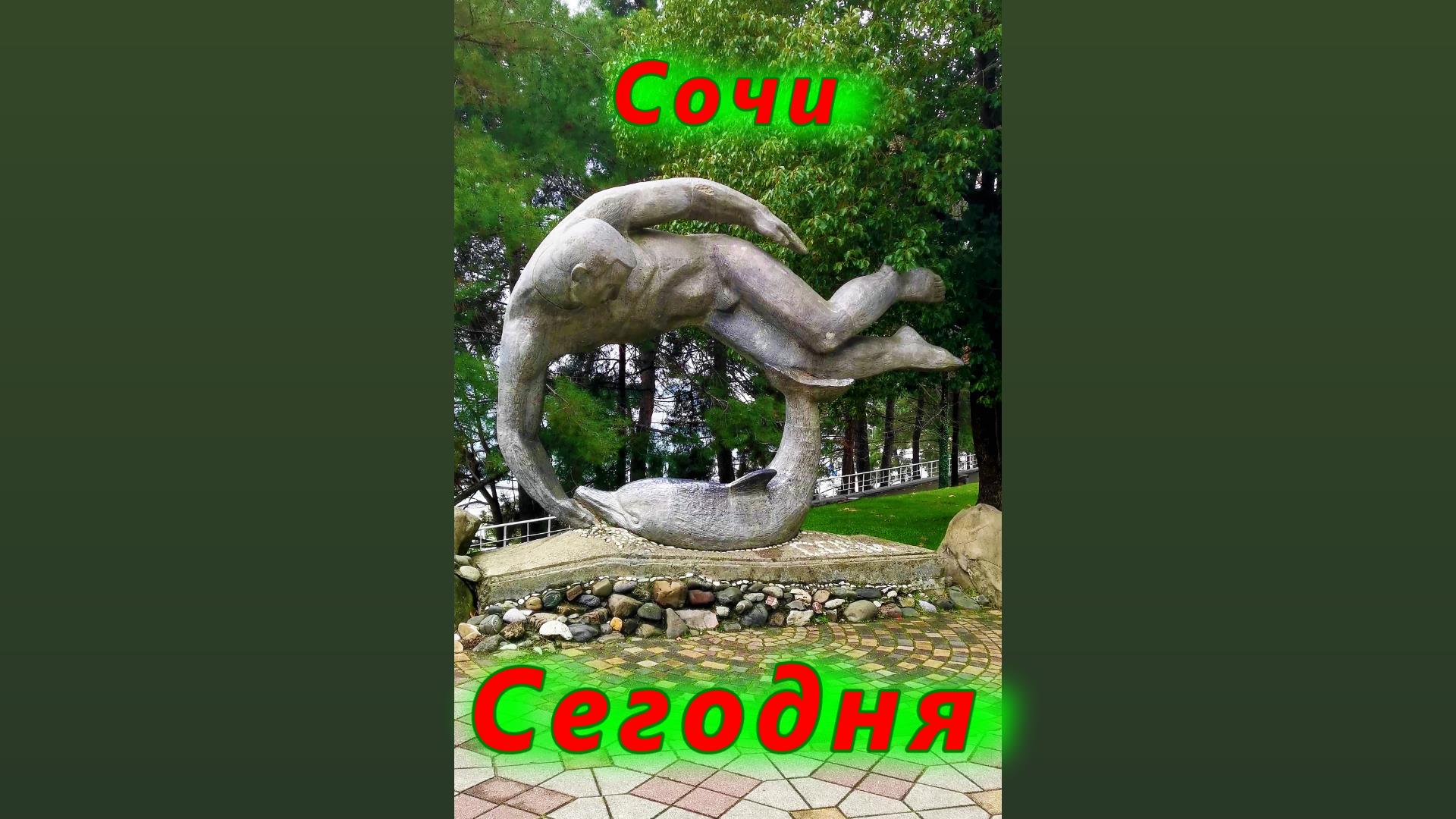 Город Сочи сегодня смотреть онлайн