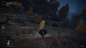 ELDEN RING Где найти  Медальон Дектуса(правая часть) и Печать Радагона от боли.