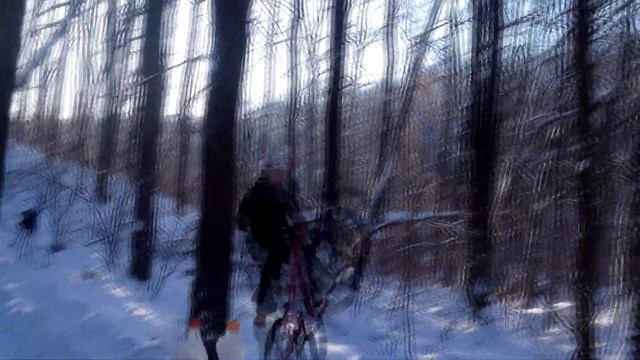 ЗИМА WDP 2019 Харьков MTB смотреть онлайн