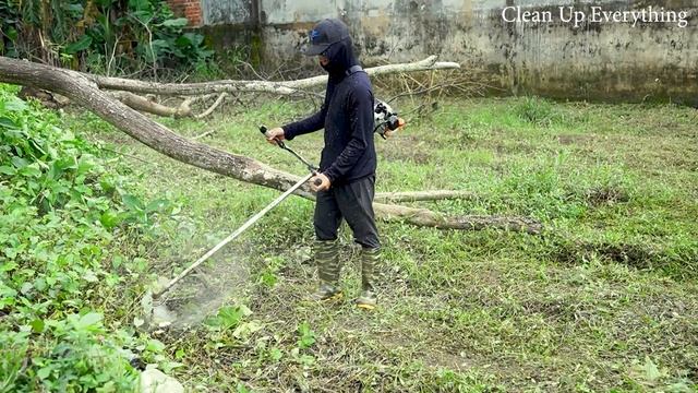 CLEAN UP EVERYTHING | Discovered A House Abandoned For 20YEARS, OVERGROWN With Trees