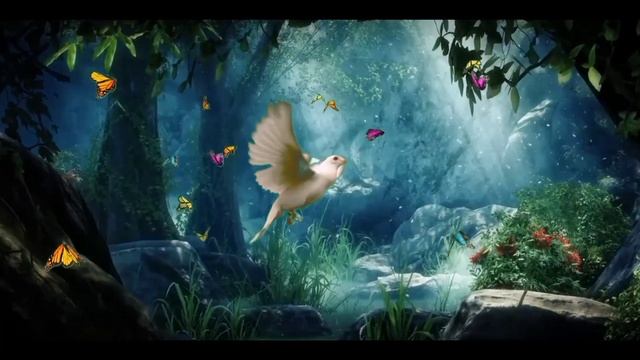 butterflies searching flowers ? || پیاسئی تتلی #gaggustories #urdustories #youtube #birds story смотреть онлайн