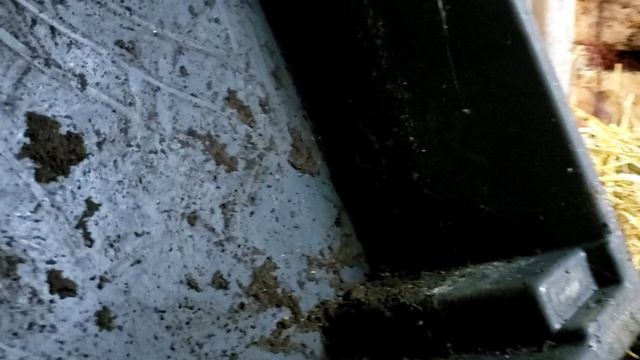  смотреть онлайн