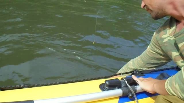 Хариус размером с мойву. Район Усть-Маны. На сплаве. 21.06.2015 смотреть онлайн