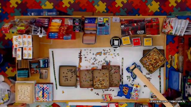 Day 811 August 21 2016 – “Wildlife” 33600 pc World’s Largest Jigsaw Puzzle Assembly смотреть онлайн