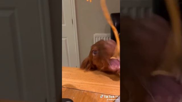 VID-20231120-WA0001.mp4