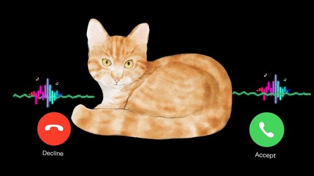 APPLE? RINGTONE? IPHONE ?#pro #iphone #cat 19:08 EP. смотреть онлайн