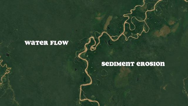 The Amazon Rainforest - Origin And Destiny