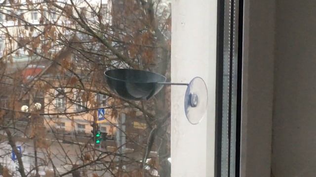 наша кормушка на окне смотреть онлайн