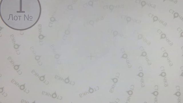 Sport cotton 1 ,Цена за кг.: 24.3 евро ,сток одежда оптом смотреть онлайн