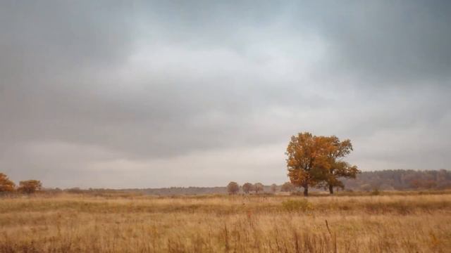 ANNA NETREBKO "VOKALIZ" смотреть онлайн