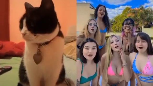 Felix beato tra le donne смотреть онлайн