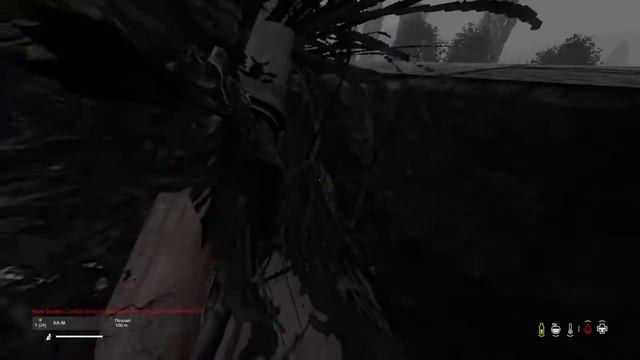 DayZ PS4 RU Разминка на АКМ смотреть онлайн