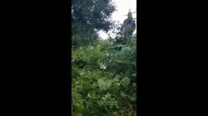 Косилка ручная сегментная одно из лучших решений, для больших участков.