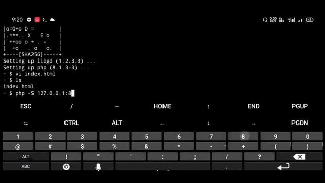 How to setup ssh tunneling on Termux | port forwarding with ngrok alternative смотреть онлайн