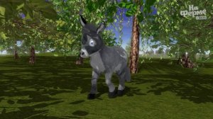 Серенький маленький ослик | На ферме у Зенона