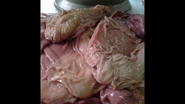 Зельц смотреть онлайн