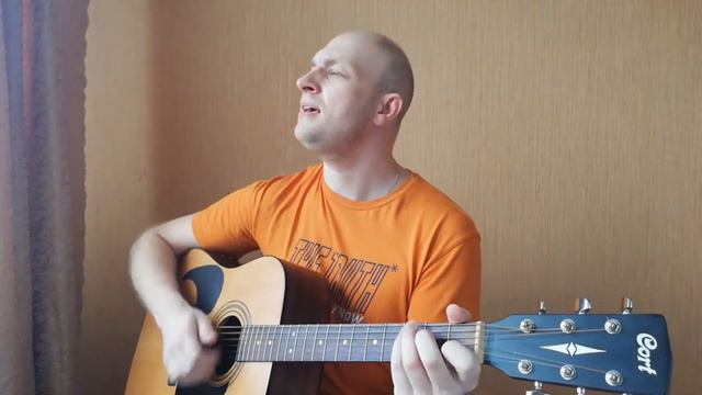 Верхом на звезде - Найк Борзов | Кавер на гитаре Den Dubinko смотреть онлайн