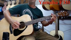 Cort AD810 vs Yamaha F310