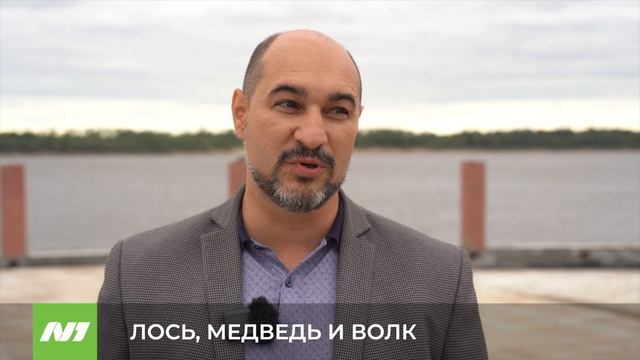 ЛОСЬ, МЕДВЕДЬ И ВОЛК смотреть онлайн
